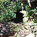<b>Alsia Holy Well</b>Posted by Alchemilla