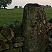 <b>Nine Stones Close standing stone</b>Posted by postman