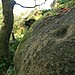 <b>Rowtor Rocks</b>Posted by postman