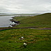 <b>Sumburgh Head</b>Posted by thelonious