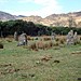 <b>Lochbuie Stone Circle</b>Posted by nickbrand