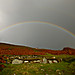 <b>Holyhead Mountain Hut Group</b>Posted by thesweetcheat