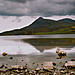 <b>Ardvreck</b>Posted by GLADMAN