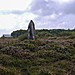 <b>Dry Tree Menhir</b>Posted by Meic