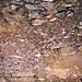 <b>Banwell Bone Caves</b>Posted by vulcan