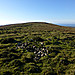 <b>Llanmadoc Hill</b>Posted by thesweetcheat