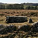 <b>Hound Tor</b>Posted by postman