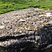 <b>Clonfinlough Stone</b>Posted by ryaner