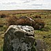 <b>The Goatstones</b>Posted by postman