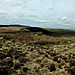 <b>Hirwaun Common</b>Posted by thesweetcheat
