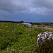 <b>Boskednan Southern Cairn</b>Posted by thesweetcheat