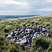 <b>Jepson's Gate Cairn</b>Posted by LivingRocks