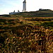 <b>Mull of Galloway</b>Posted by spencer