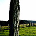 <b>Drumtroddan Standing Stones</b>Posted by spencer