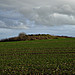 <b>Harestone Down barrow</b>Posted by thesweetcheat