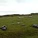 <b>Arbor Low</b>Posted by wiccaman9