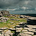 <b>Rough Tor</b>Posted by GLADMAN