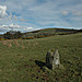 <b>Carrig Standing Stone</b>Posted by ryaner