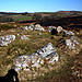 <b>Hound Tor</b>Posted by GLADMAN