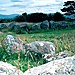 <b>Carrowmore Complex</b>Posted by GLADMAN