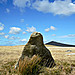 <b>Louden Stone Circle</b>Posted by RoyReed