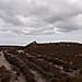 <b>Simonside</b>Posted by thelonious