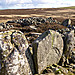 <b>Blawearie Cairn</b>Posted by thelonious