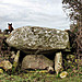 <b>Ballygraney Portal Tomb</b>Posted by muller