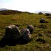 <b>Cnoc na Moine</b>Posted by GLADMAN