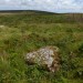 <b>Portheras Common Barrow</b>Posted by thesweetcheat