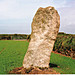 <b>Trelew Menhir</b>Posted by hamish