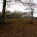 <b>Norsey Wood</b>Posted by GLADMAN