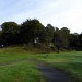 <b>Markinch Hill</b>Posted by thesweetcheat
