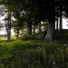 <b>Fowlis Wester Cairn</b>Posted by thesweetcheat