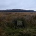 <b>Park Gate Stone Circle</b>Posted by thesweetcheat