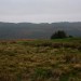 <b>Y Foel Cairns</b>Posted by GLADMAN