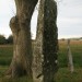 <b>Llanbedr Stones</b>Posted by postman