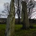 <b>Llanbedr Stones</b>Posted by thesweetcheat