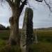 <b>Llanbedr Stones</b>Posted by thesweetcheat