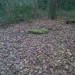 <b>Ecclesall Woods</b>Posted by spencer
