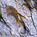 <b>Gannel Rock Markings</b>Posted by phil