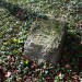 <b>The Giant's Grave (Aldbourne)</b>Posted by GLADMAN