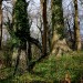 <b>The Giant's Grave (Aldbourne)</b>Posted by GLADMAN