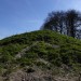 <b>Avebury Down</b>Posted by thesweetcheat
