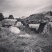 <b>Plas Newydd Burial Chamber</b>Posted by texlahoma