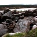 <b>Loch Borralan East</b>Posted by GLADMAN