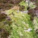 <b>St Ringan's Cairn</b>Posted by drewbhoy