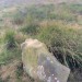 <b>Park Gate Stone Circle</b>Posted by ruskus