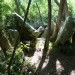 <b>Dolmen des Varennes de Cumeray 1</b>Posted by costaexpress