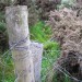 <b>Beans Hill, Boundary Marker 23</b>Posted by drewbhoy